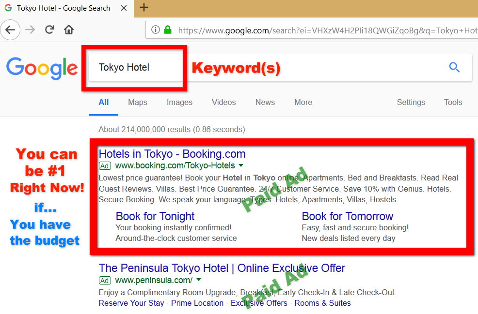 Tokyo and Colorado SEO